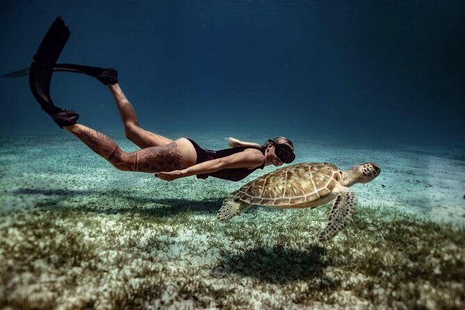 Private Turtle Spotting Snorkeling Excursion in Aruba - The Sum Up