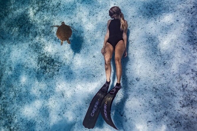 Private Turtle Spotting Snorkeling Excursion in Aruba - Participant Requirements and Accessibility