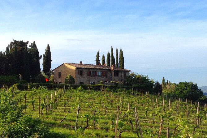 Private Tuscan Meal With Wine and EVO Oil Tasting - Booking Information