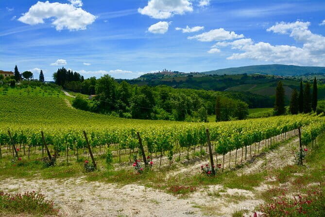 Private Tuscany Day Tour: San Gimignano and Chianti Wine Region from Florence - Discovering Tuscany: What the Tour Offers
