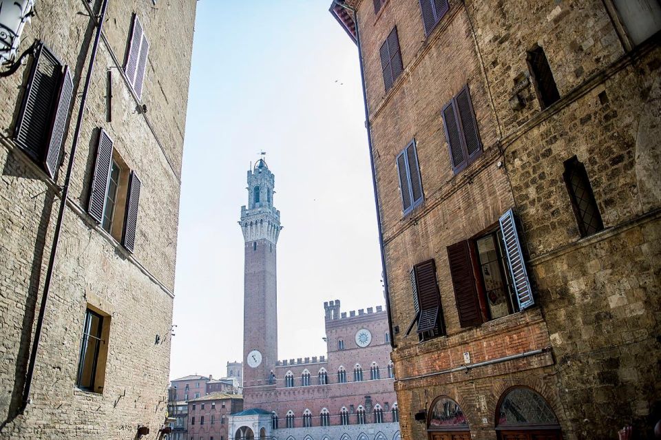 Private Tuscany Tour to Pisa, Siena, San Gimignano and Lunch - Guided Tour of Siena