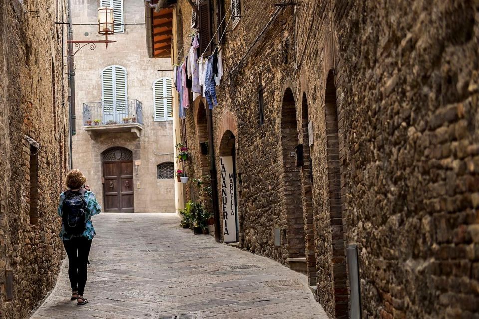 Private Tuscany Tour to Pisa, Siena, San Gimignano and Lunch - Mobility and Accessibility