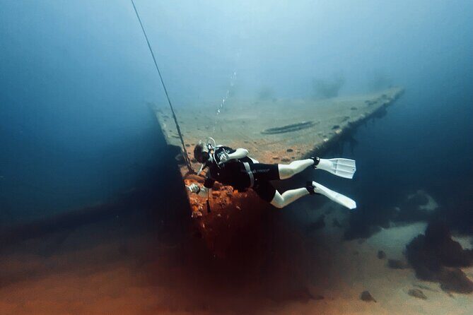 Private Two-Tank Shore Dive for Solo Cruise Travelers in Bonaire - Authenticity and Quality of the Experience