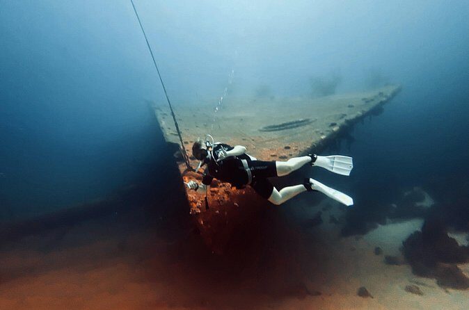 Private Two-Tank Shore Dive for Solo Cruise Travelers in Bonaire - The Sum Up