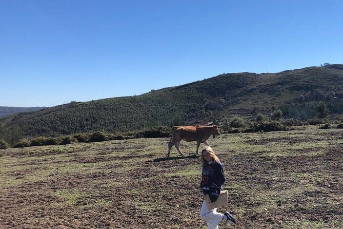 Private Typical Portuguese Picnic in Serra de Monchique - Additional Practical Details