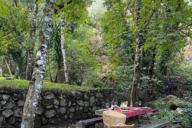Private Typical Portuguese Picnic in Serra de Monchique - Final Thoughts: Who Will Love This Experience?