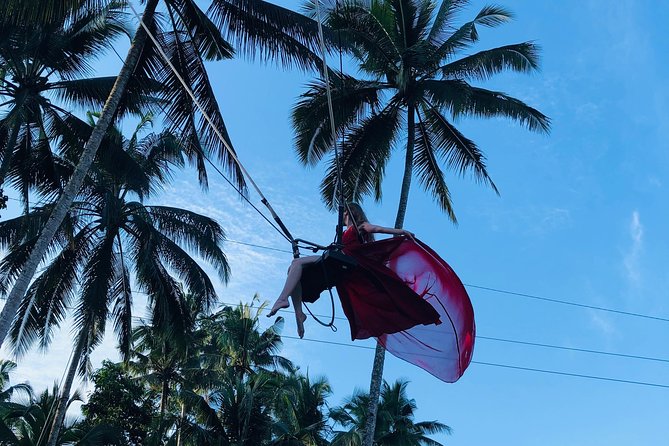 Private Ubud Tour With Hidden Waterfalls - Why Choose This Tour