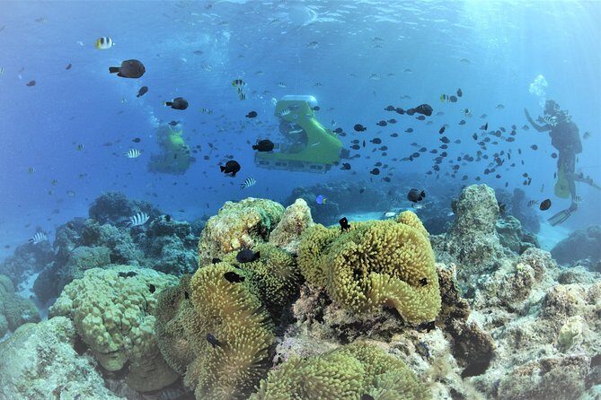 Private Underwater Scooter - Who Would Enjoy This Tour?