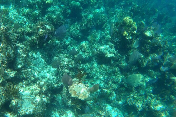 Private Underwater Scooter, Snorkeling And Turtles Excursion - Unique Features of the Tour