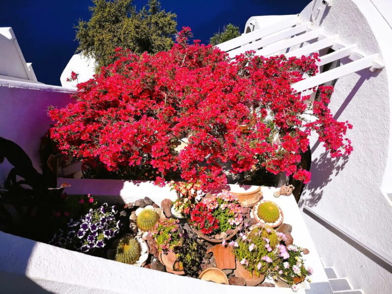 Private Unseen Authentic Santorini Half Day Shore Excursion - Key Points