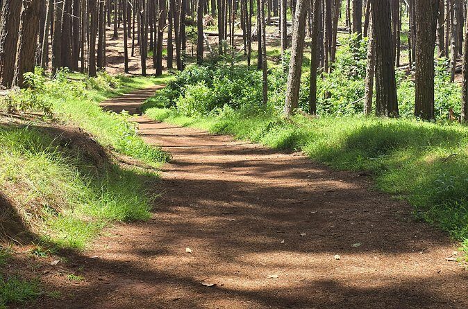 Private Upcountry Hiking Tour - The Journey Into Maui’s Ecological and Agricultural Past