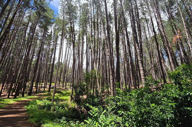 Private Upcountry Hiking Tour - Practical Details and Considerations