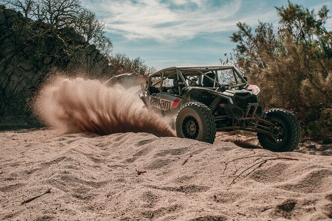 Private UTV Off Road Experience in Cabo - Key Points