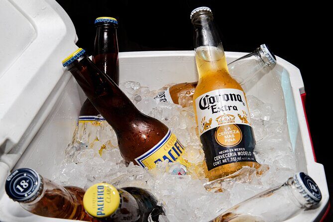 Private VAN Round-Trip from Airport to Hotels in The Corridor - The Real Traveler Feedback