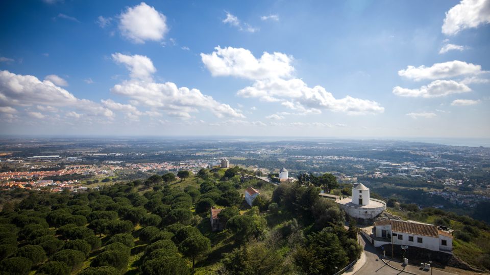 Private Van Tour Arrabida and Wine Tasting - Palmela Castle and Moscatel Wine