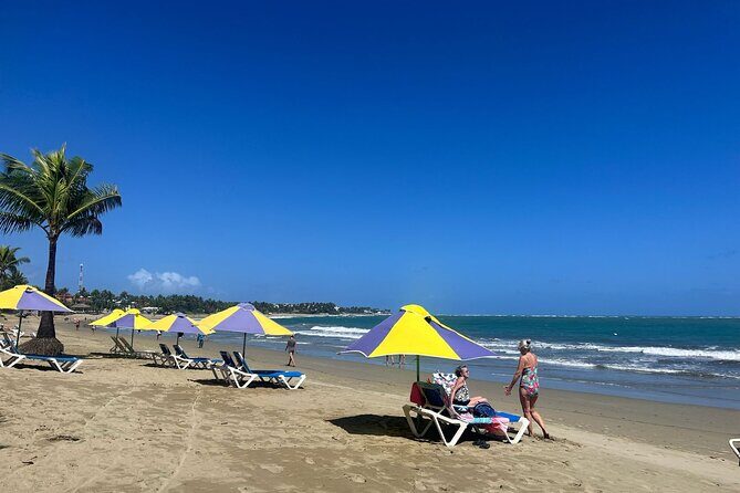 Private Van Tour - Transportation and Comfort