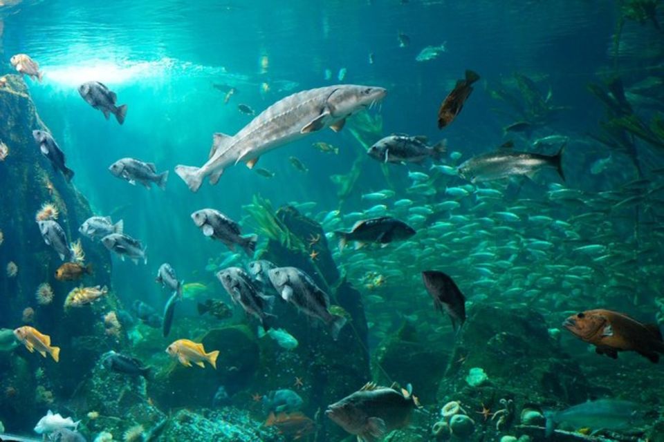 Private Vancouver Aquarium and Bloedel Conservatory Tour - Stanley Park and Queen Elizabeth Park