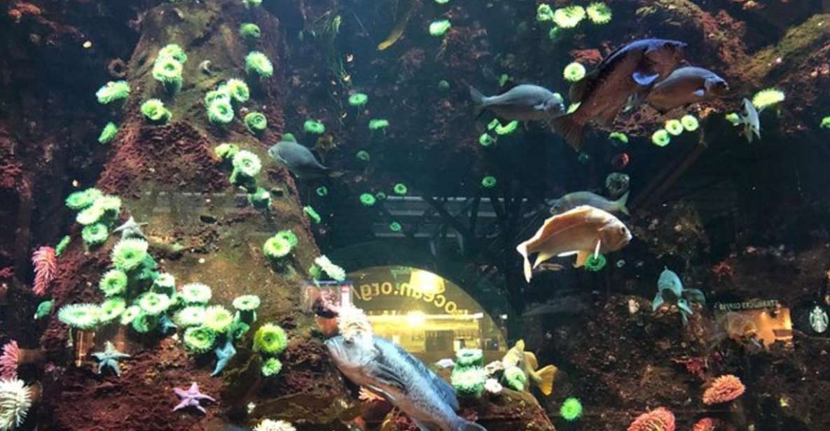 Private Vancouver Aquarium and Bloedel Conservatory Tour - Cancellation Policy