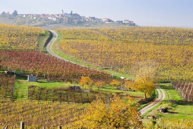 Private Vespa Tour "Among the hills of Barolo and Barbaresco" - Practical Tips for Your Vespa Adventure