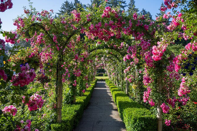 Private Victoria Full Day Tour From Vancouver - Customer Reviews and Feedback