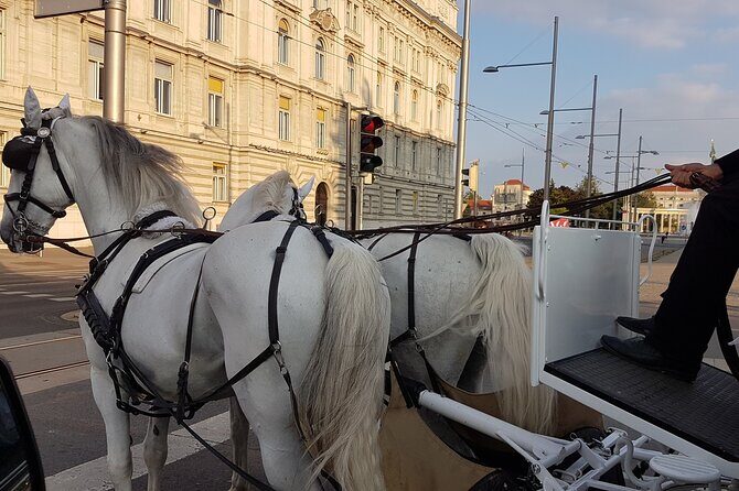 Private Vienna Sightseeing Tour matching to personal interests - Duration and Pacing