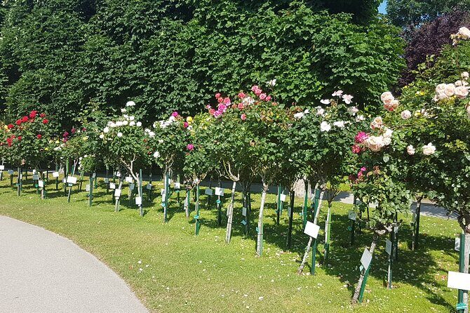 Private Vienna Sightseeing Tour matching to personal interests - Price and Value Considerations