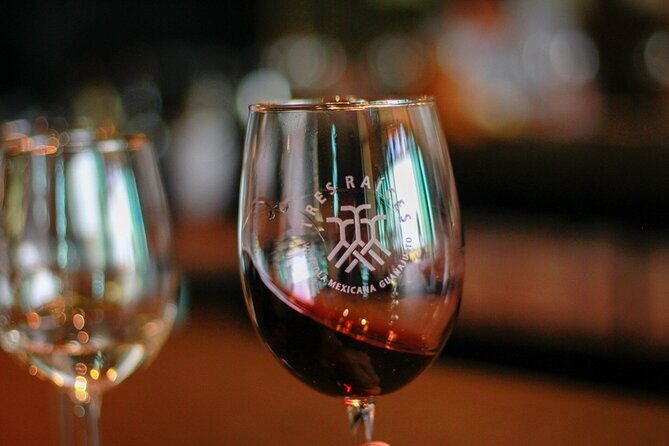 Private Vineyard and Wine Testing Tour From Guanajuato - A Practical Guide to the Private Vineyard and Wine Testing Tour from Guanajuato