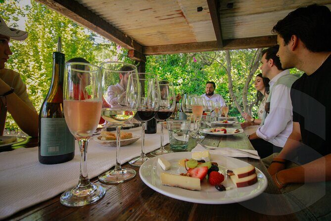 Private Vineyard and Wine Testing Tour From Guanajuato - Key Points