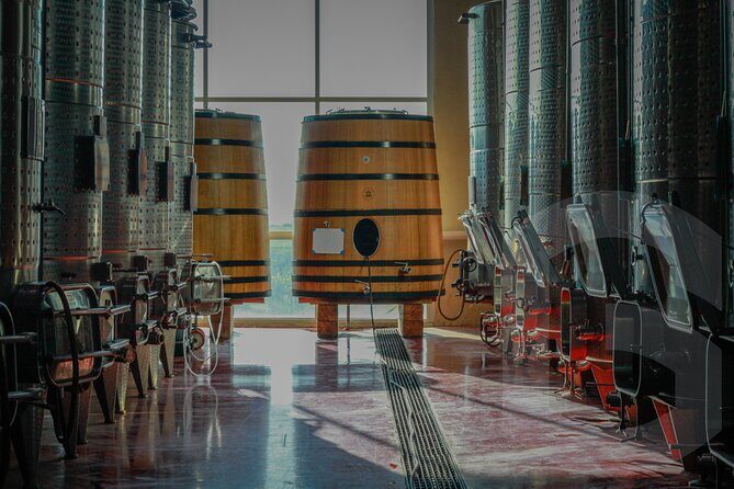 Private Vineyard and Wine Testing Tour From Guanajuato - Who Should Consider This Tour?