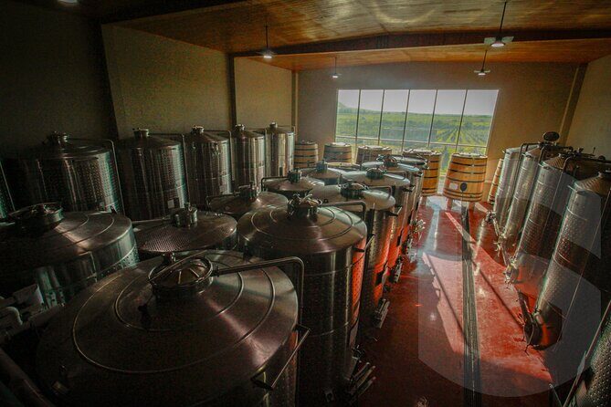 Private Vineyard and Wine Testing Tour From Guanajuato - FAQ