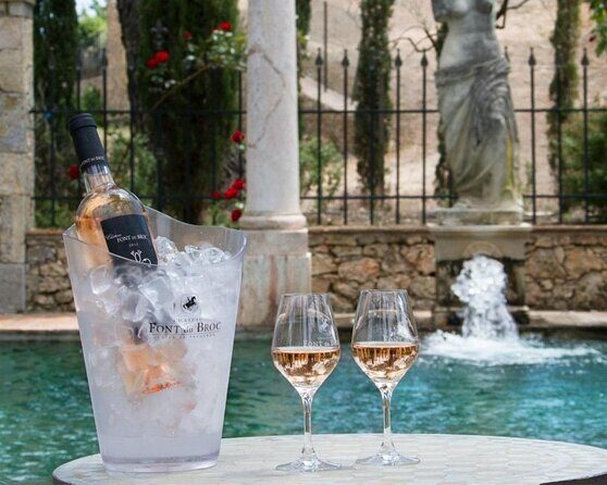 Private Vineyard Tour of Provence from Nice - Who will love this tour?