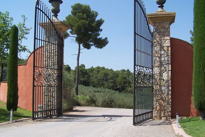 Private Vineyard Tour of Provence from Nice - Why This Tour Offers Good Value