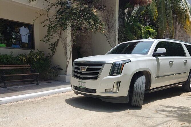 Private Vip and Minivan Punta Cana Round Trip Airport Transfer - Key Points