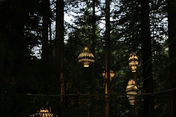 Private VIP Luxury Auckland-Rotorua Geothermal Wonderlands - The Sum Up  