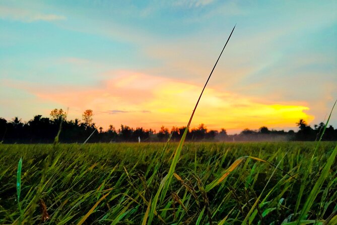 PRIVATE VIP Mekong Delta 1 Day With Biking,Fishing,Cooking ,Bbq - NON Touristic - Tropical Fruit Plantation and Honey Farm