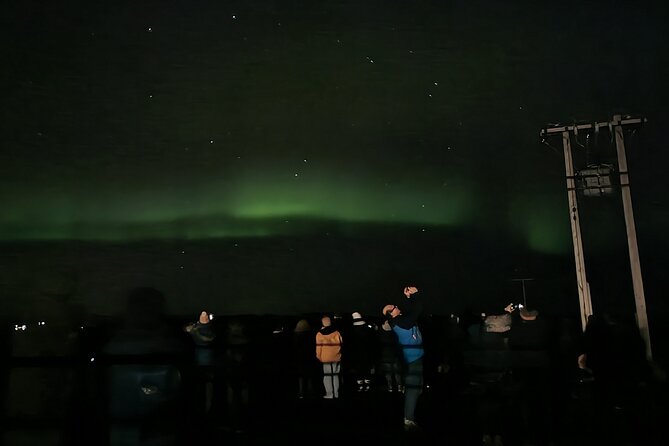 Private VIP Tour Northern Light in Aurora Reykjavik - Private Transportation