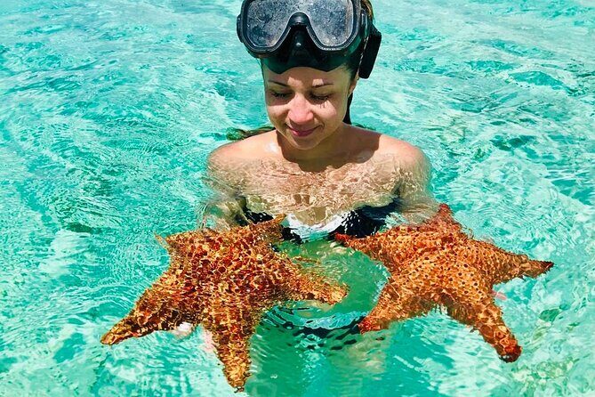 PRIVATE VIP tour Saona Island with Snorkeling, Starfish, Turtles - What Makes This Tour Stand Out?