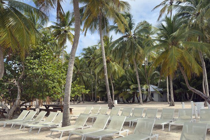 PRIVATE VIP tour Saona Island with Snorkeling, Starfish, Turtles - FAQ