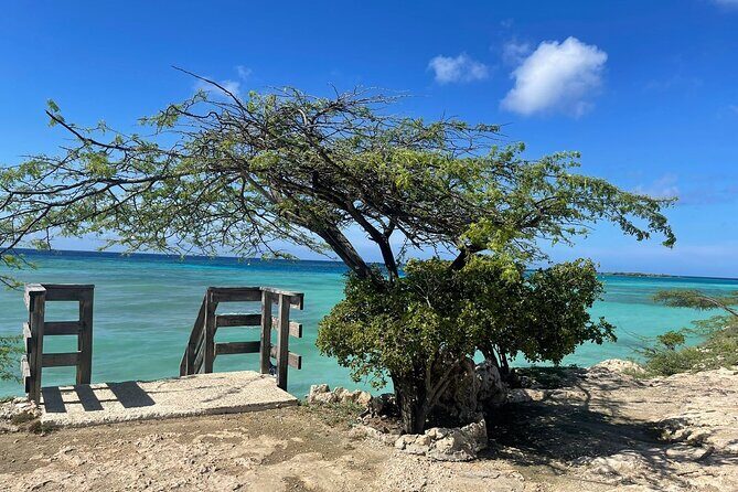 Private VIP Tours in Aruba - FAQ