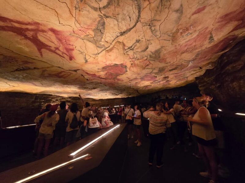 Private Visit Altamira Museum and Neocave: the Fascination of Prehistory - Key Points