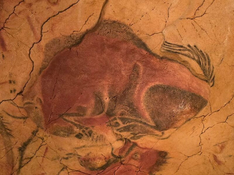 Private Visit Altamira Museum and Neocave: the Fascination of Prehistory - Guided Experience