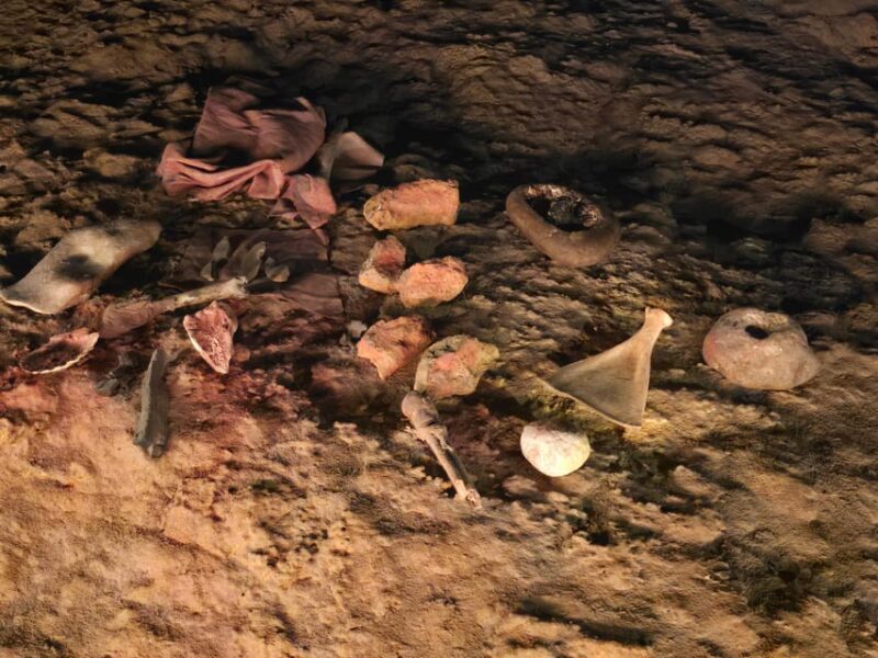 Private Visit Altamira Museum and Neocave: the Fascination of Prehistory - Itinerary Details
