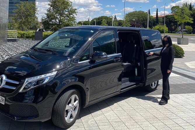 Private Visit to Alhambra in Granada from Seville - Who Is It Best For?