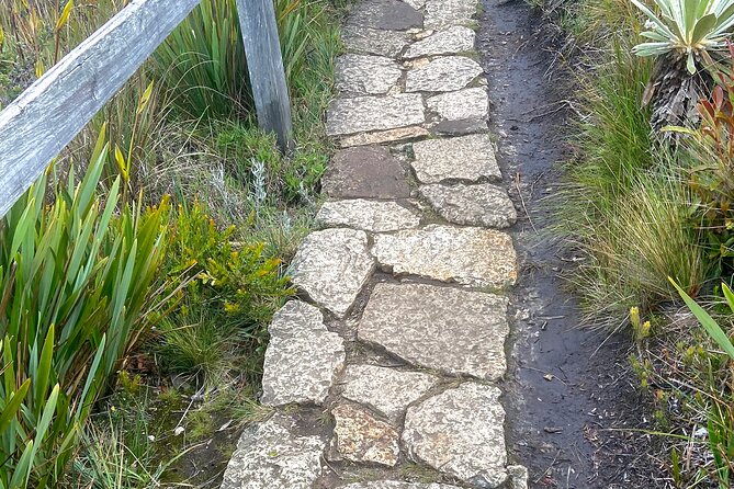 Private Visit to Casa Loca and Guatavita - Good To Know