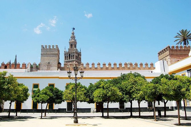 Private Visit to the Alcázar and Cathedral of Seville - Visiting the Alcázar