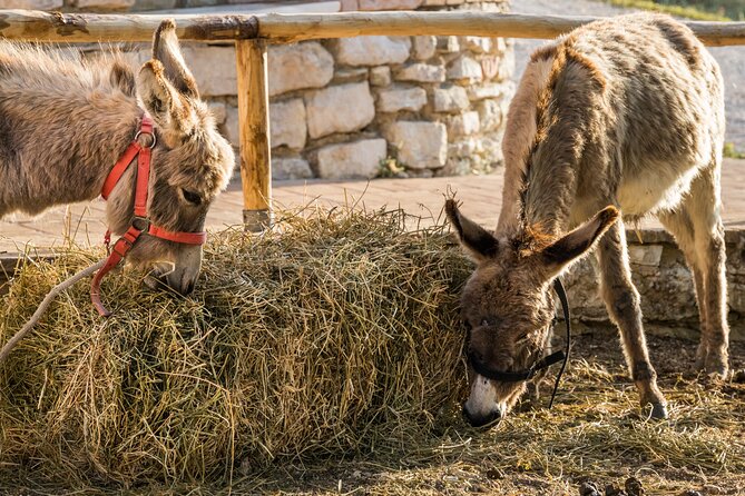 Private Visit to the Animals of the Enchanted Village in Spoleto - Nearby Attractions