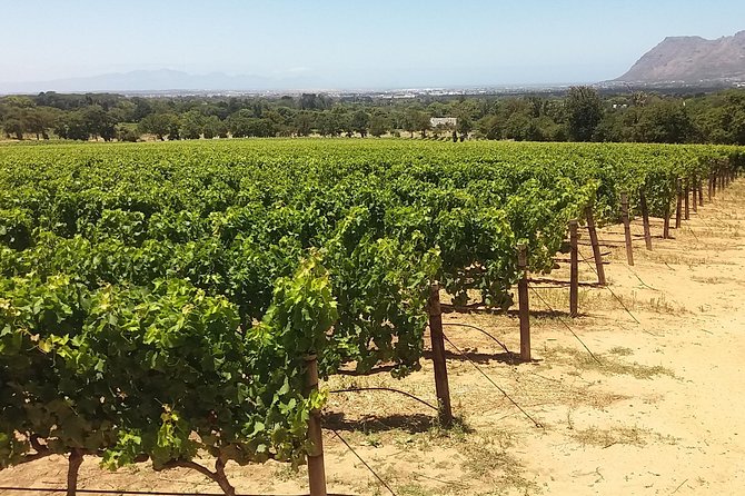 Private Visit to the Wineries Stellenbosch Franschoek From Cape Town Full Day - Frequently Asked Questions