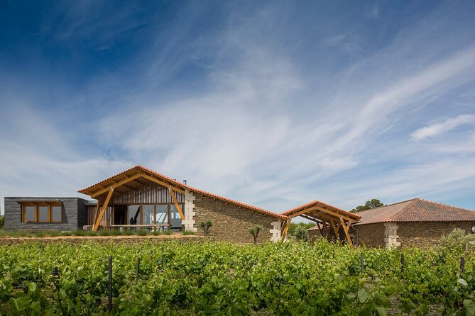Private Visit With Wine Tasting in Alijó Douro - Immersive Wine Tasting