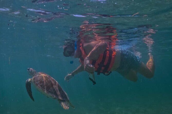 Private VW Beetle Tour Swim with Turtles, Visit Tulum Ruins&Town - Key Points