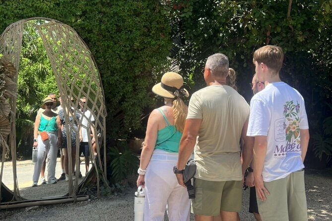 Private VW Beetle Tour Swim with Turtles, Visit Tulum Ruins&Town - An In-Depth Look at the Tour Experience